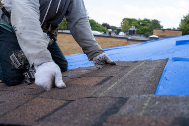 Best Flat Roof Repair Services  in Farmington, MS